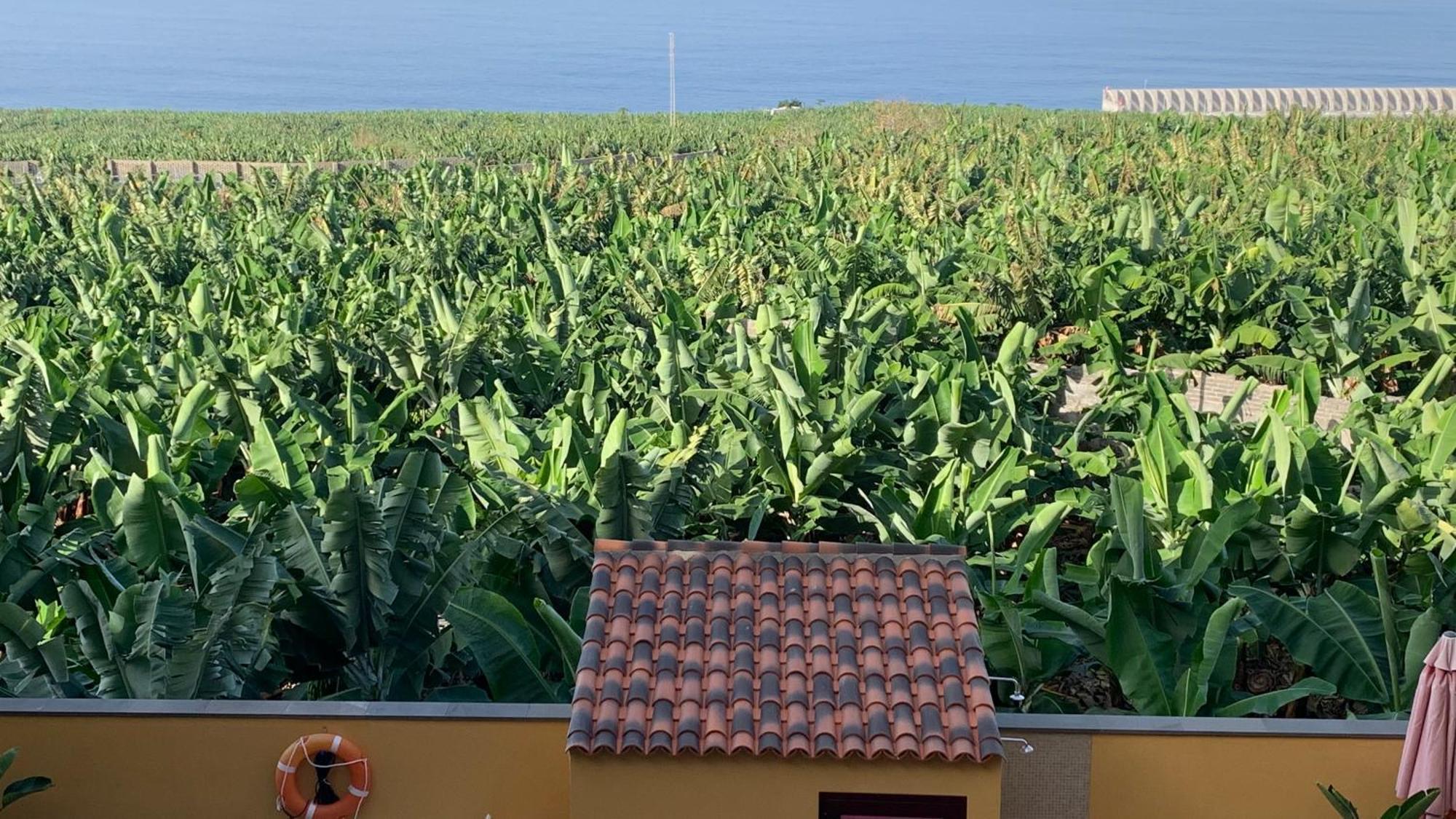 Apartamento Los Guirres Tazacorte Esterno foto